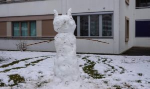 Neige001bohnommeneige