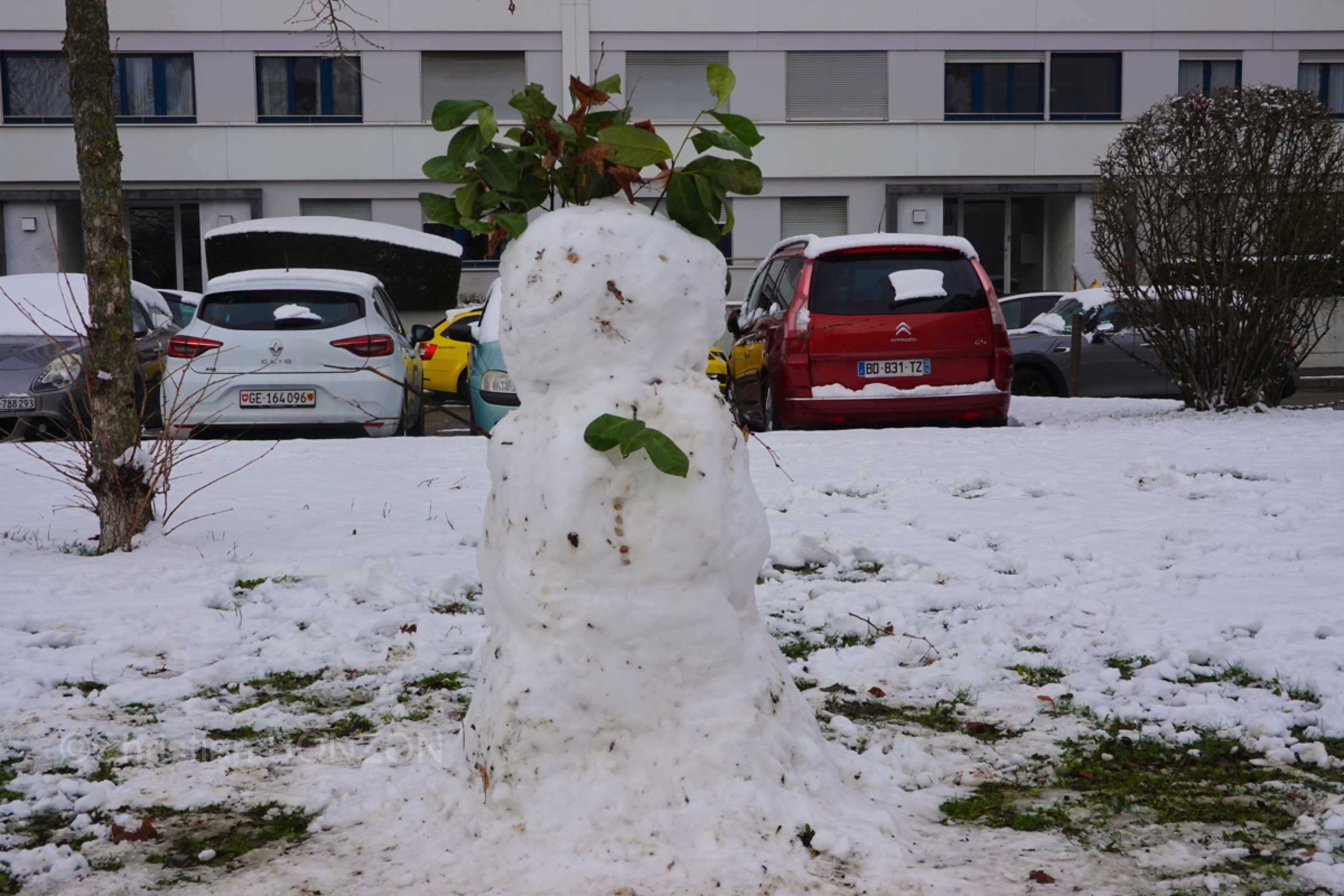 Neige002bohnommeneige