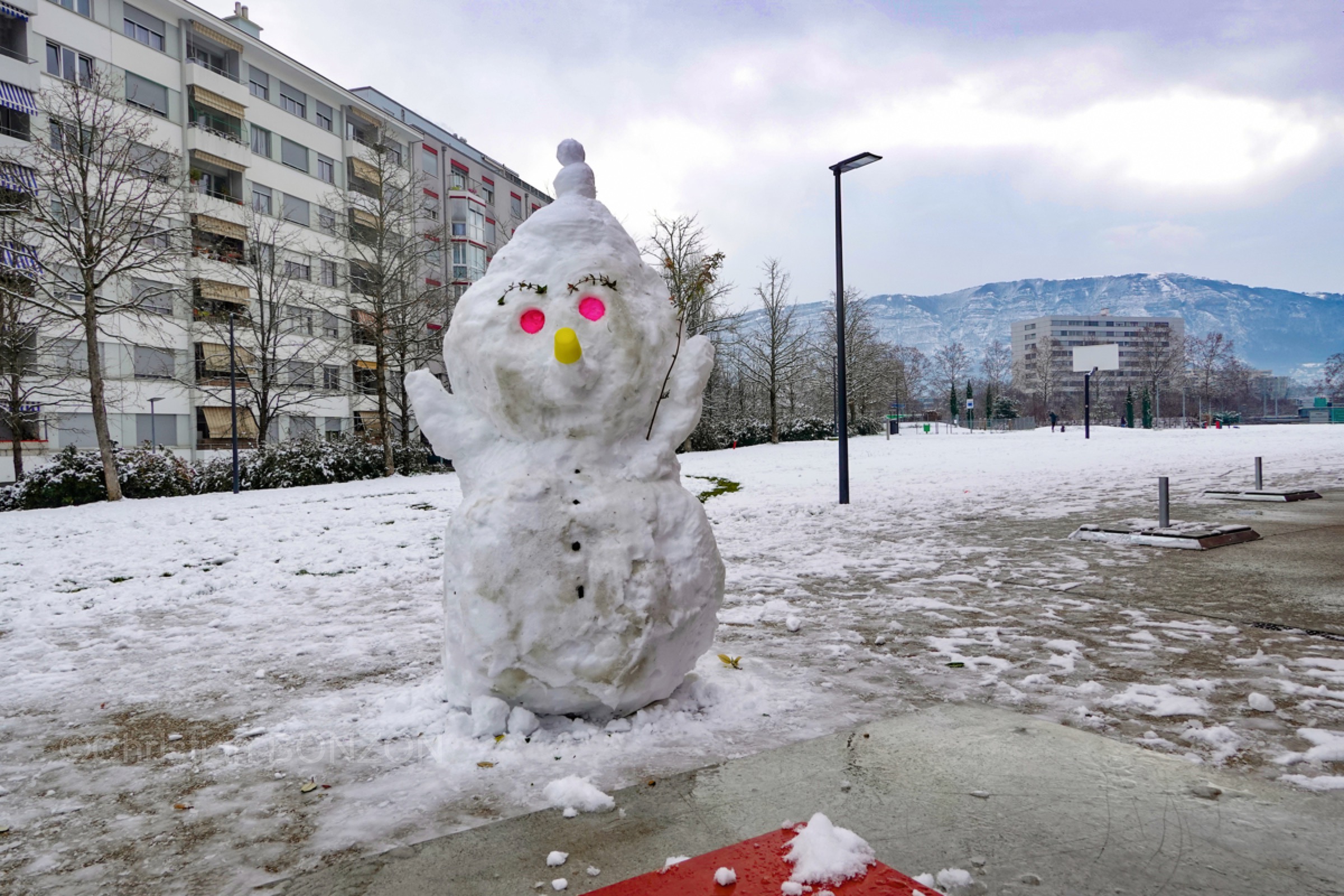 Neige006bohnommeneige