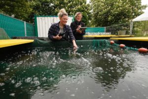 22maiRhone-abaissement049