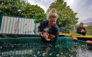 22maiRhone-abaissement052