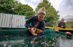 22maiRhone-abaissement053