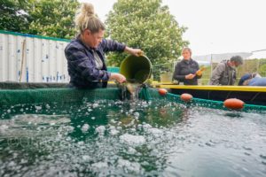 22maiRhone-abaissement055