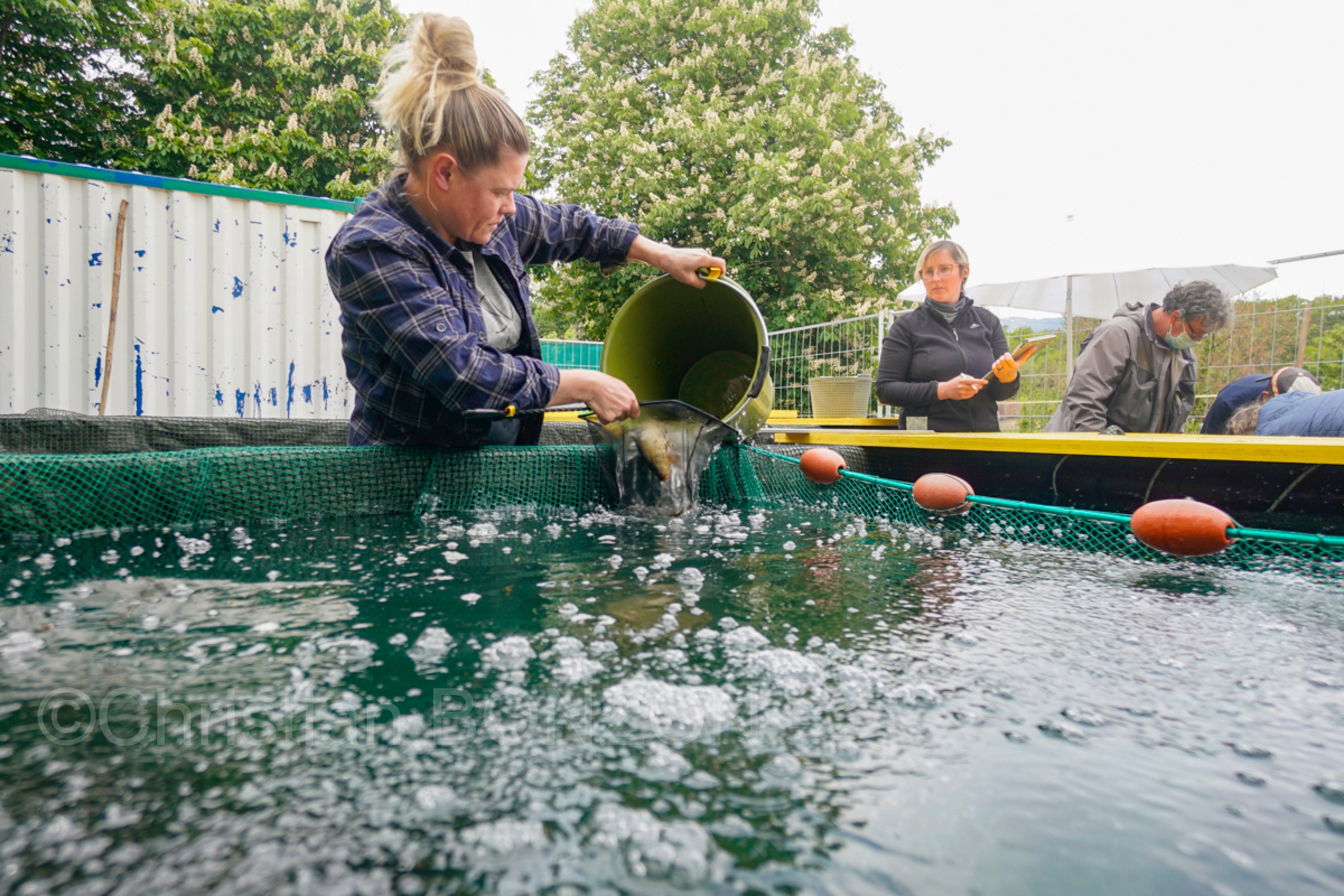 22maiRhone-abaissement055