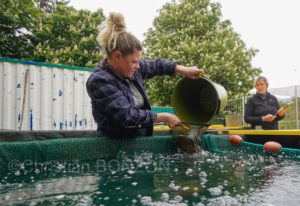 22maiRhone-abaissement057