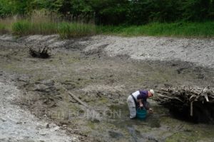 22maiRhone-abaissement062