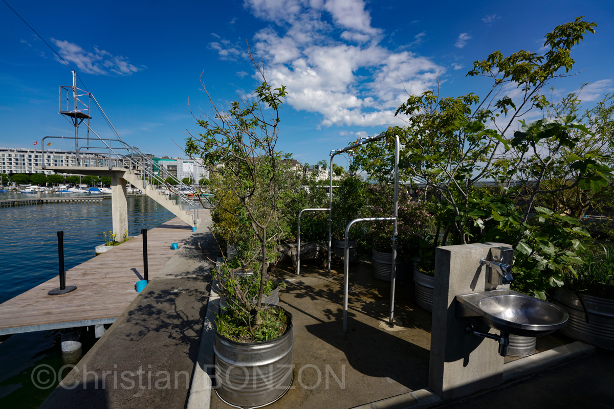 Paquis_plateforme002