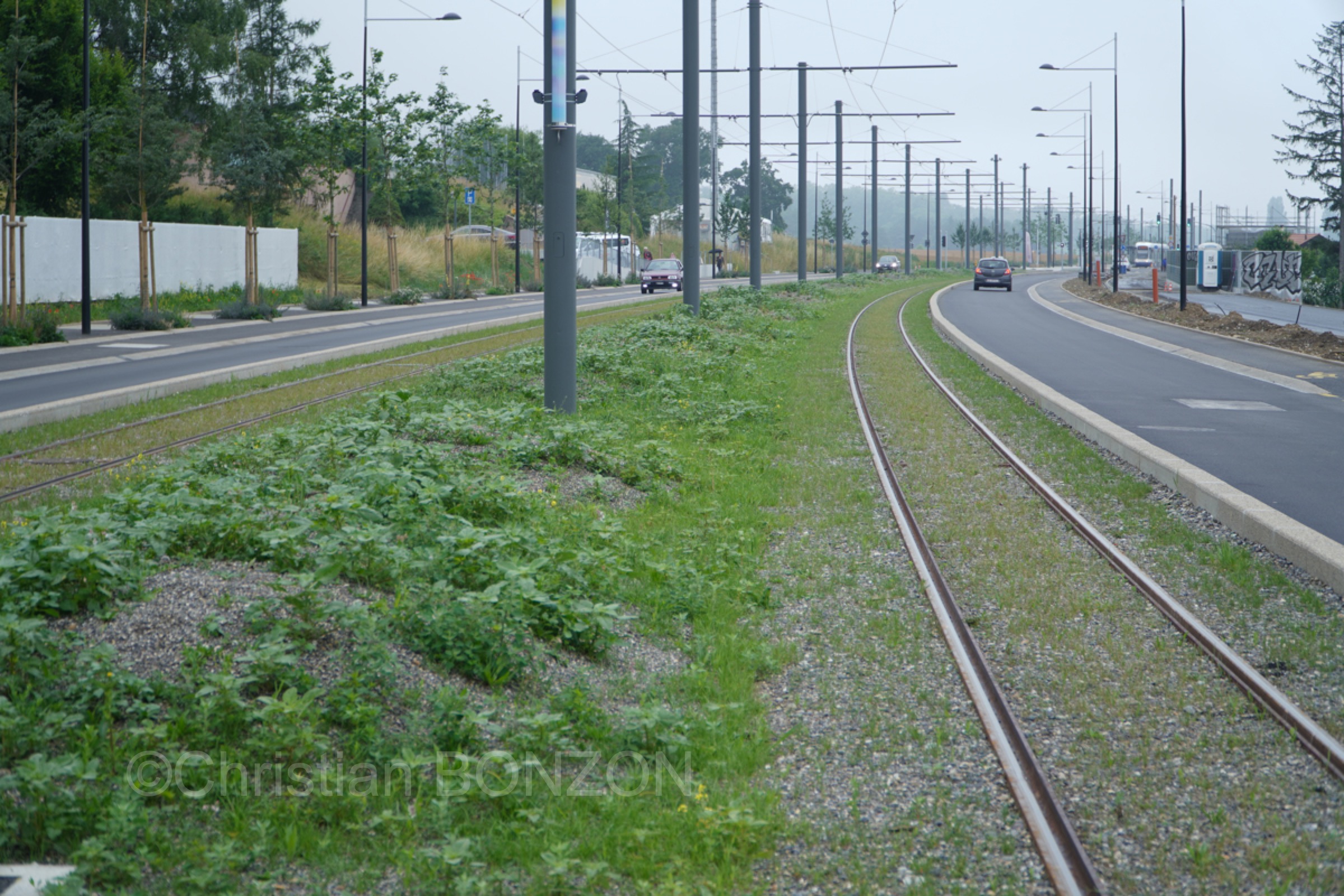 Tram14_inauguration131-