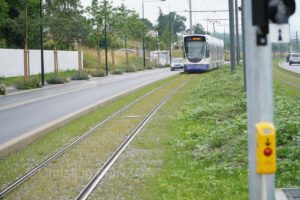 Tram14_inauguration177-