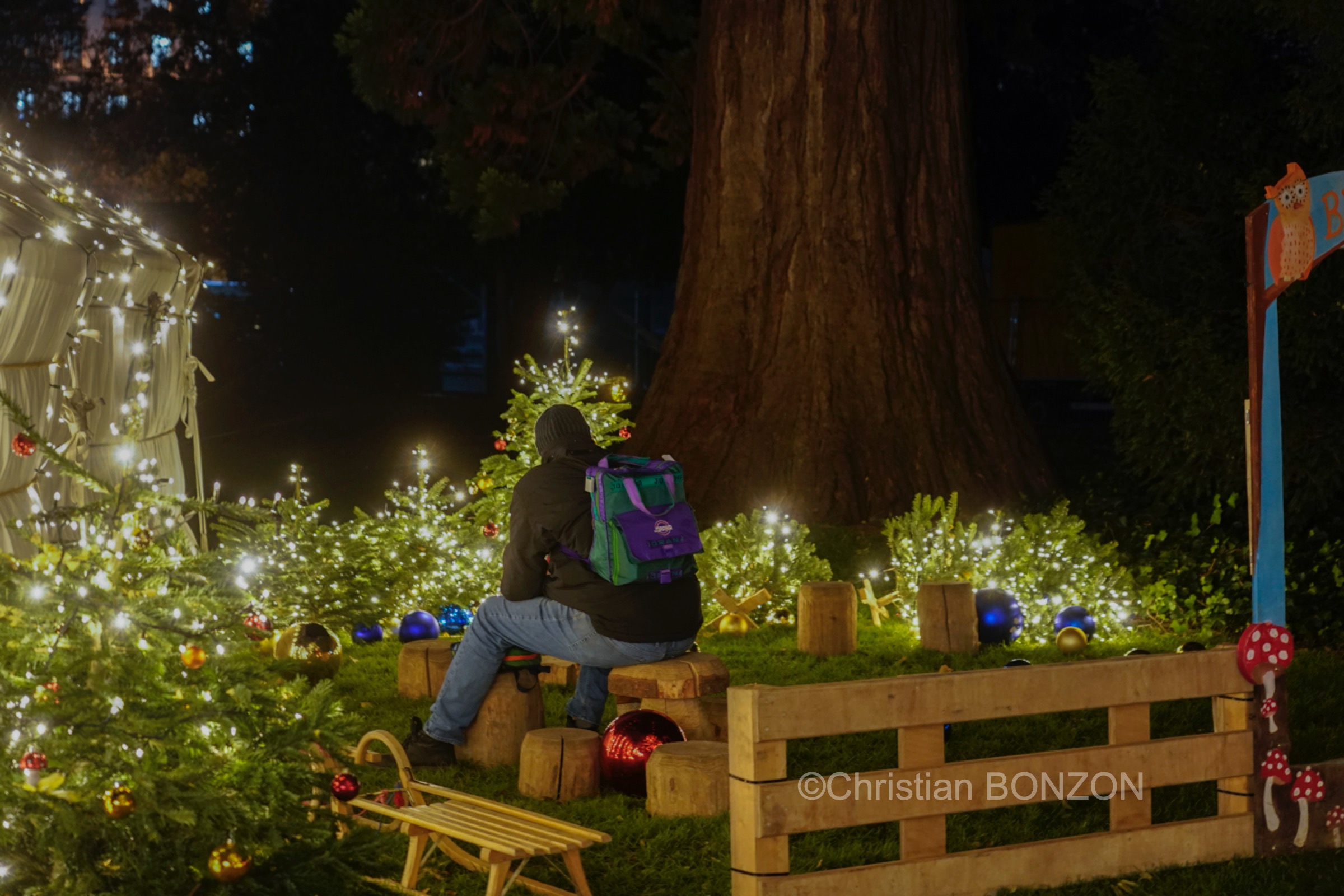 Jardin_Marche_Noel_Geneve032