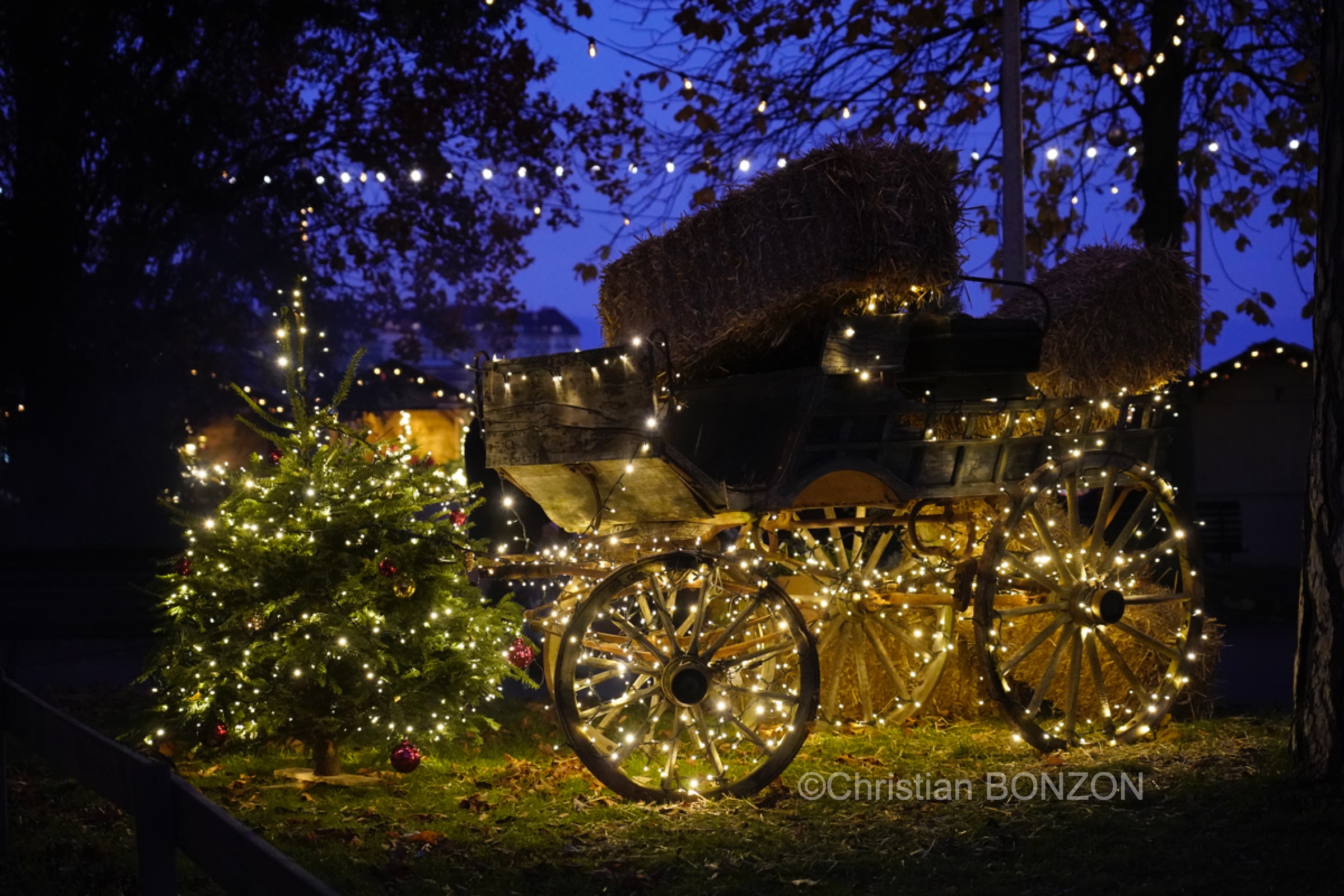 Marche_Noel_Geneve001