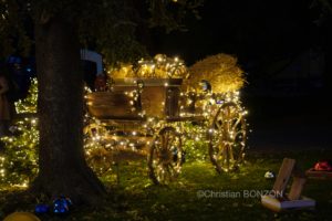 Marche_Noel_Geneve002