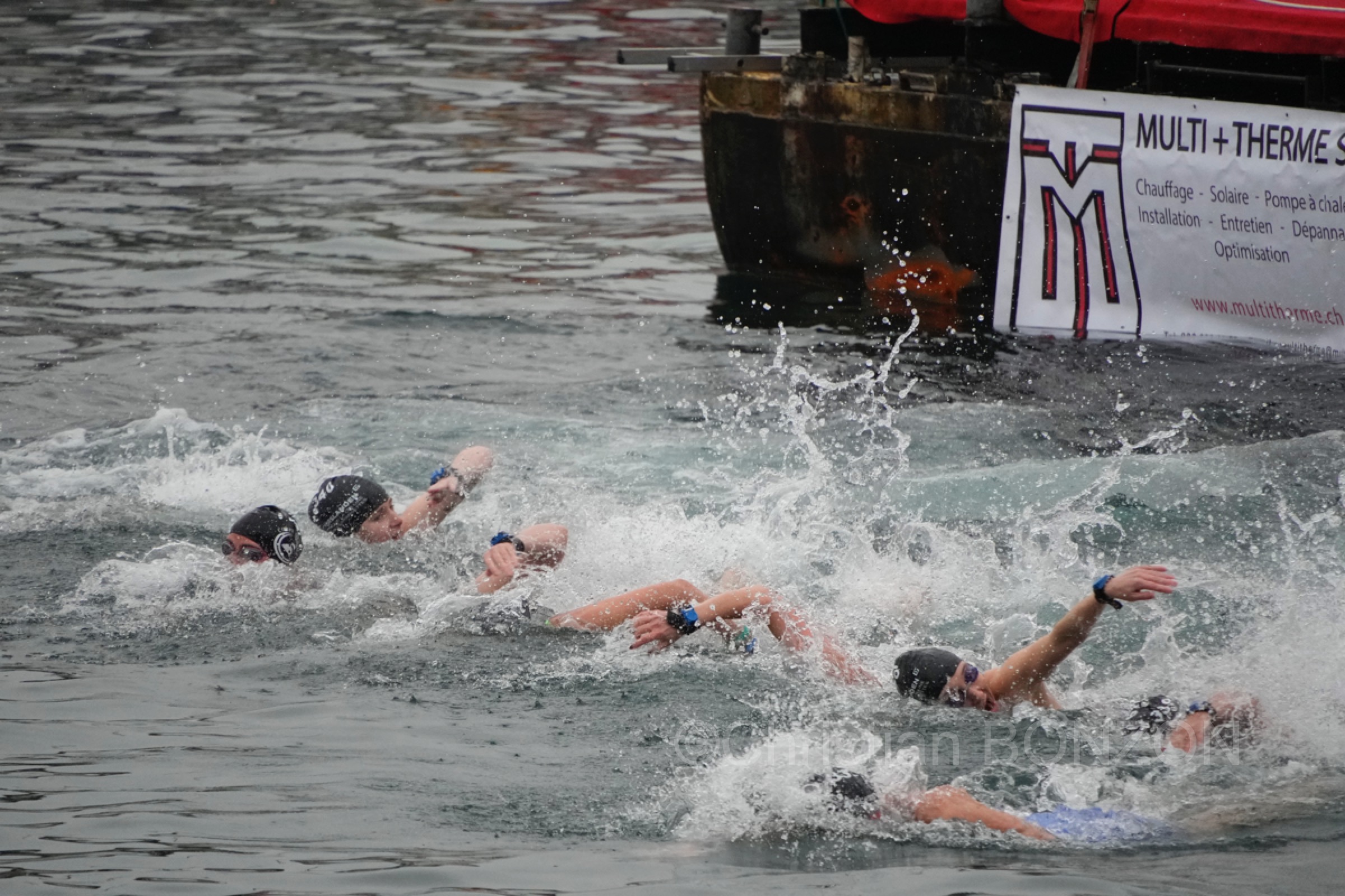 chiensNoel19decCoupeNoel125