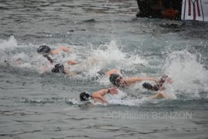 chiensNoel19decCoupeNoel126