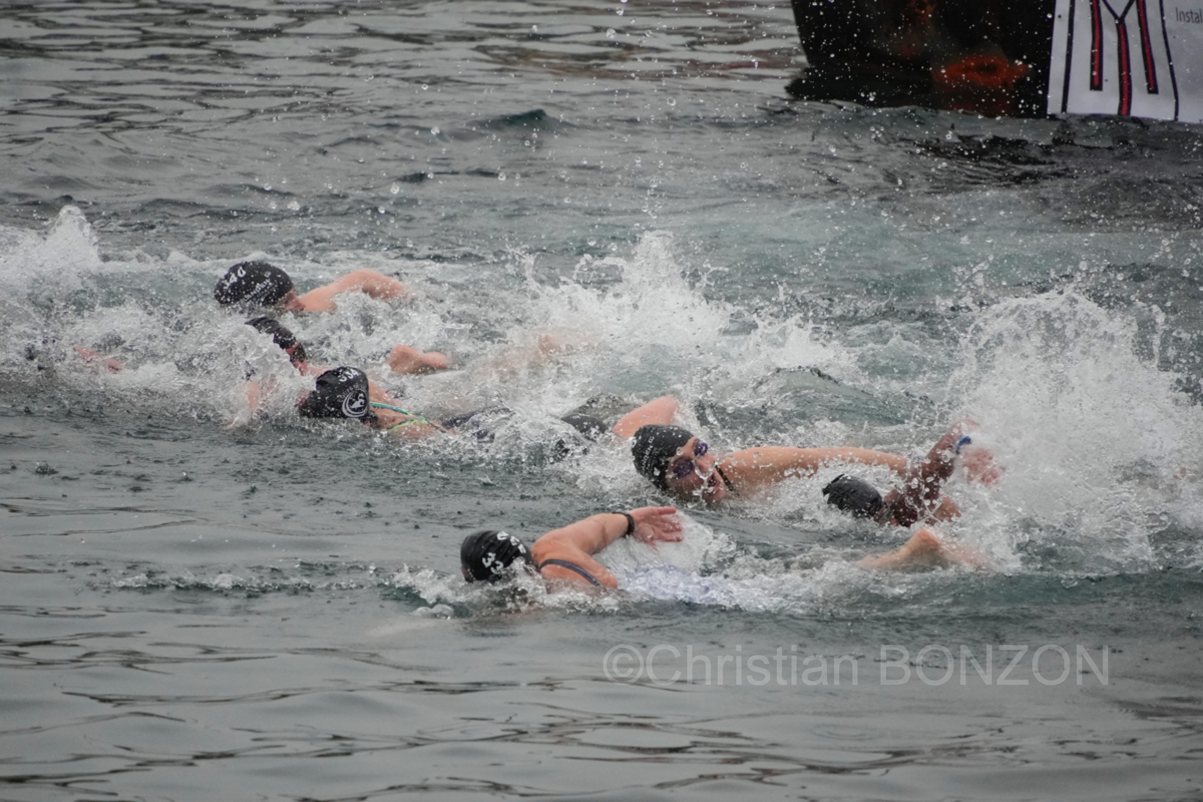 chiensNoel19decCoupeNoel126