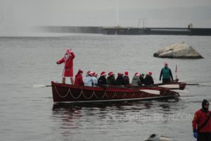 chiensNoel19decCoupeNoel137