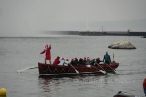 chiensNoel19decCoupeNoel138