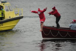 chiensNoel19decCoupeNoel141