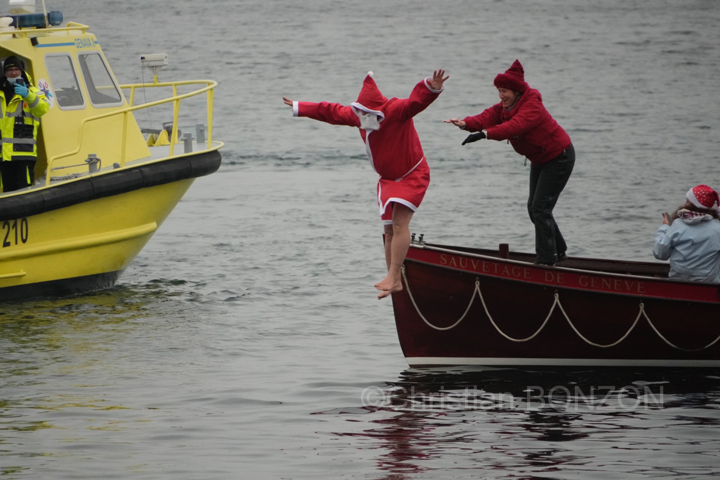 chiensNoel19decCoupeNoel141