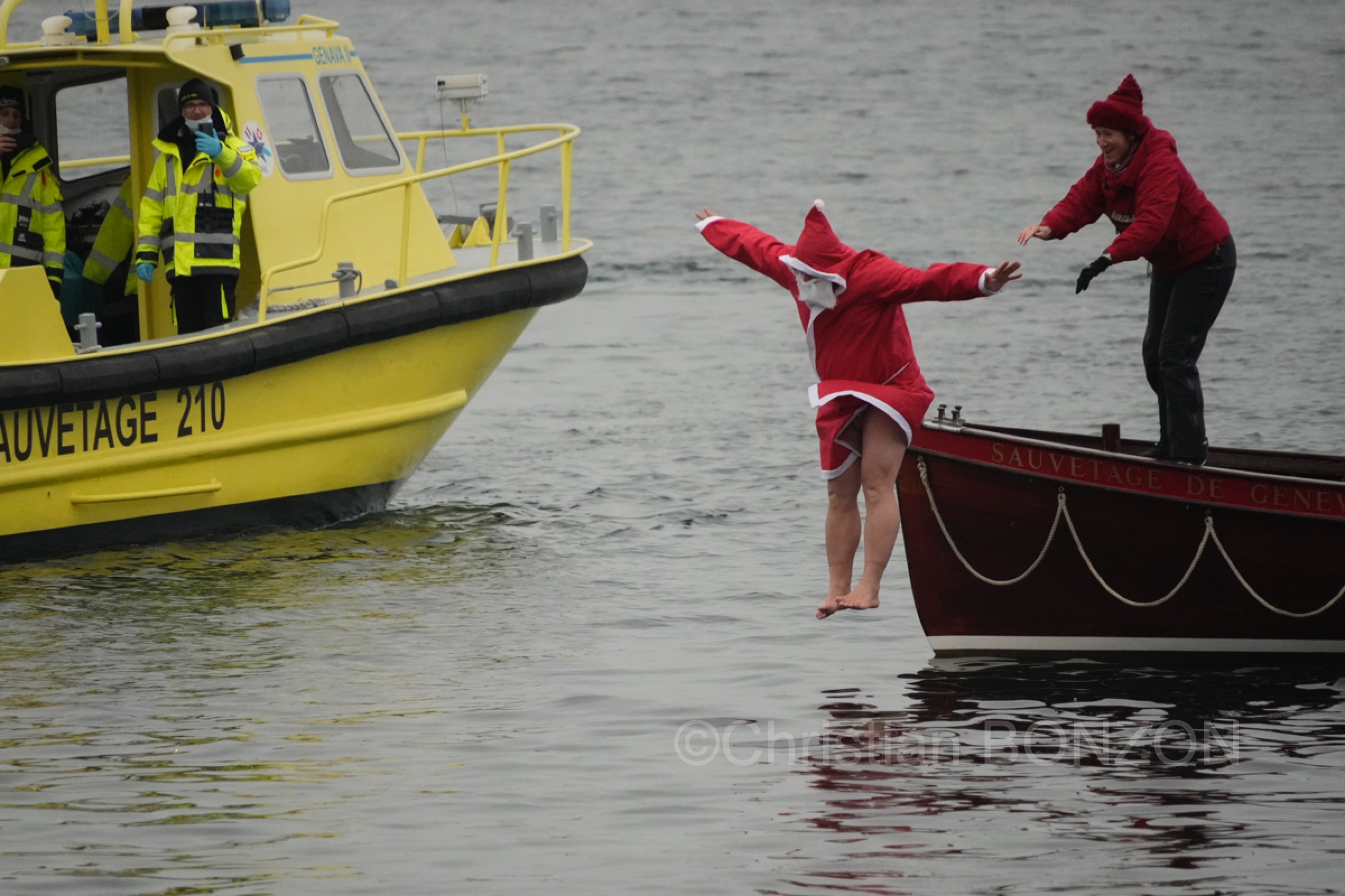 chiensNoel19decCoupeNoel142