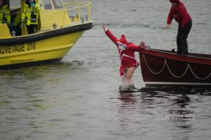 chiensNoel19decCoupeNoel143