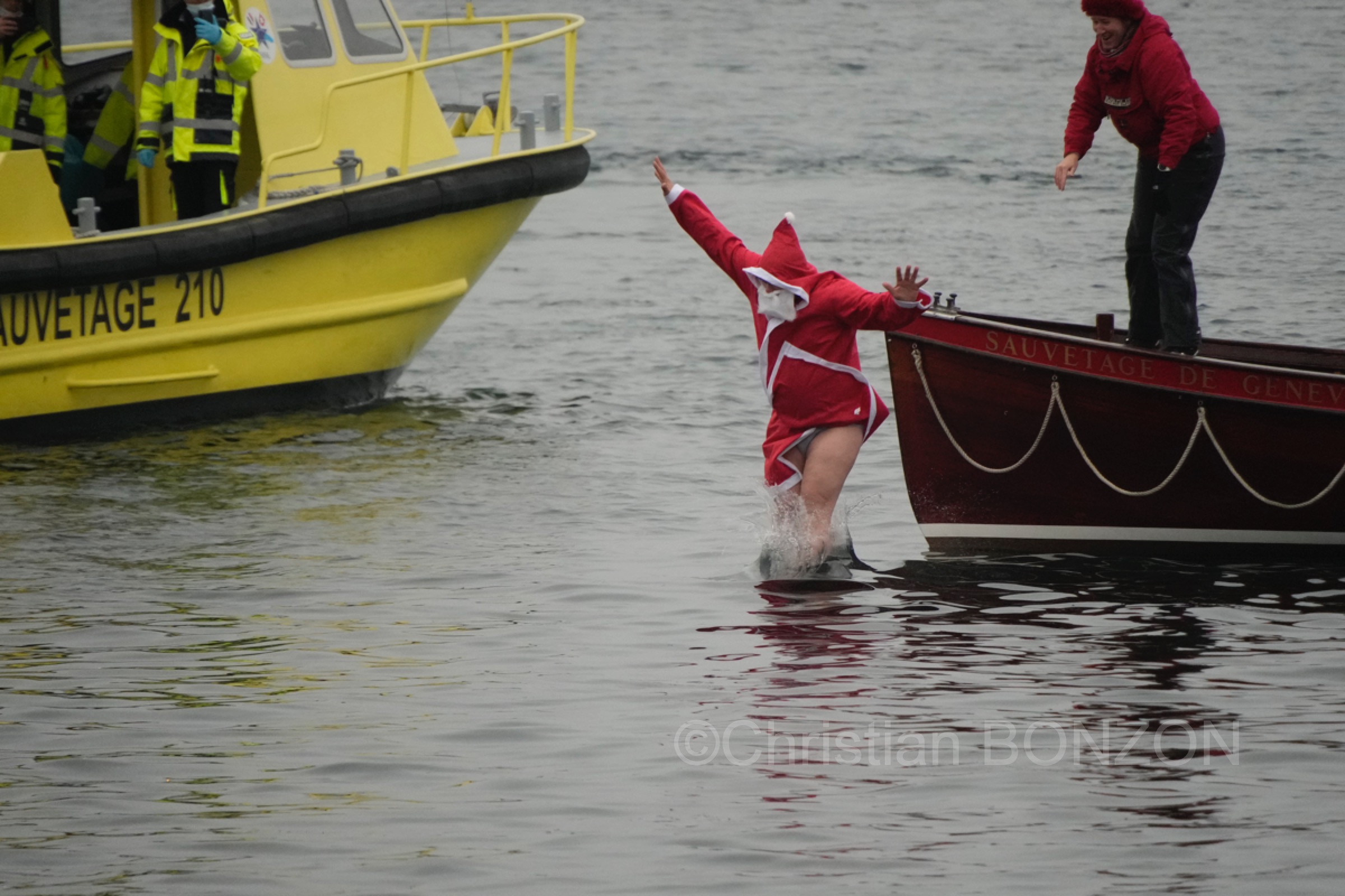 chiensNoel19decCoupeNoel143