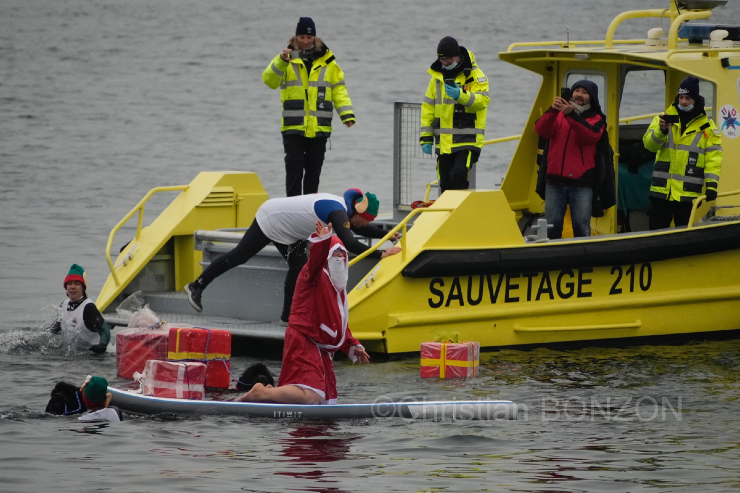 chiensNoel19decCoupeNoel144