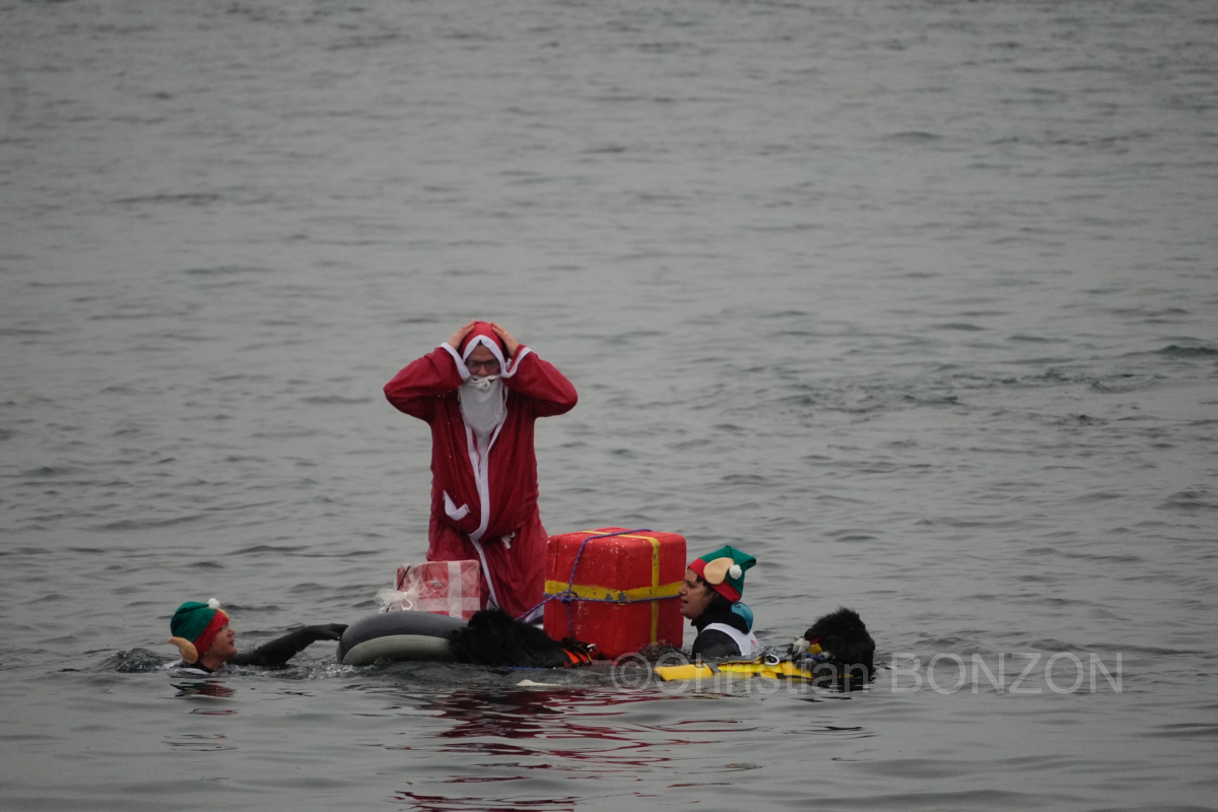 chiensNoel19decCoupeNoel145