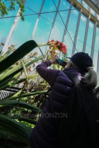 Jardin_botanique_fleurs004