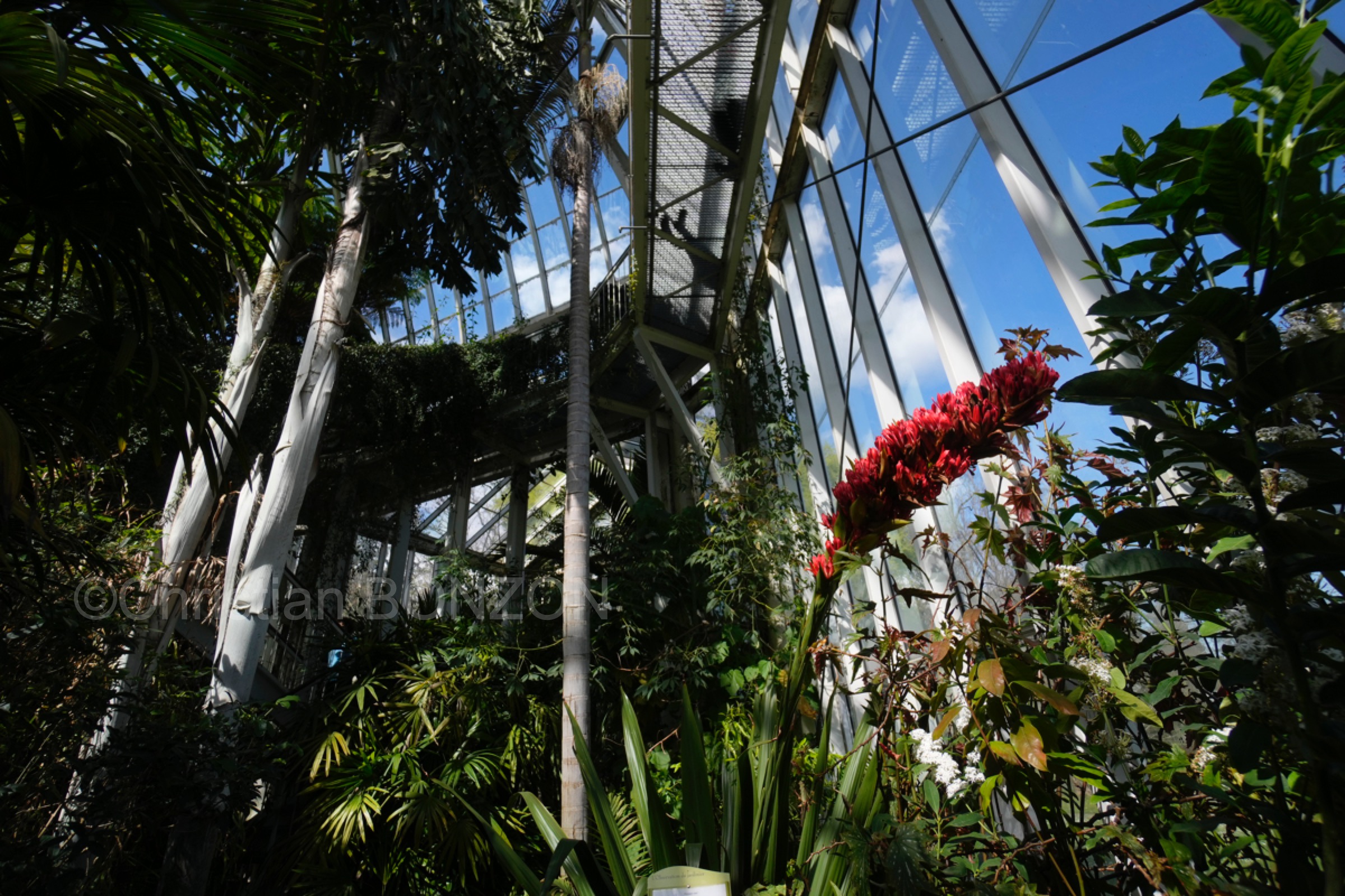 Jardin_botanique_fleurs007