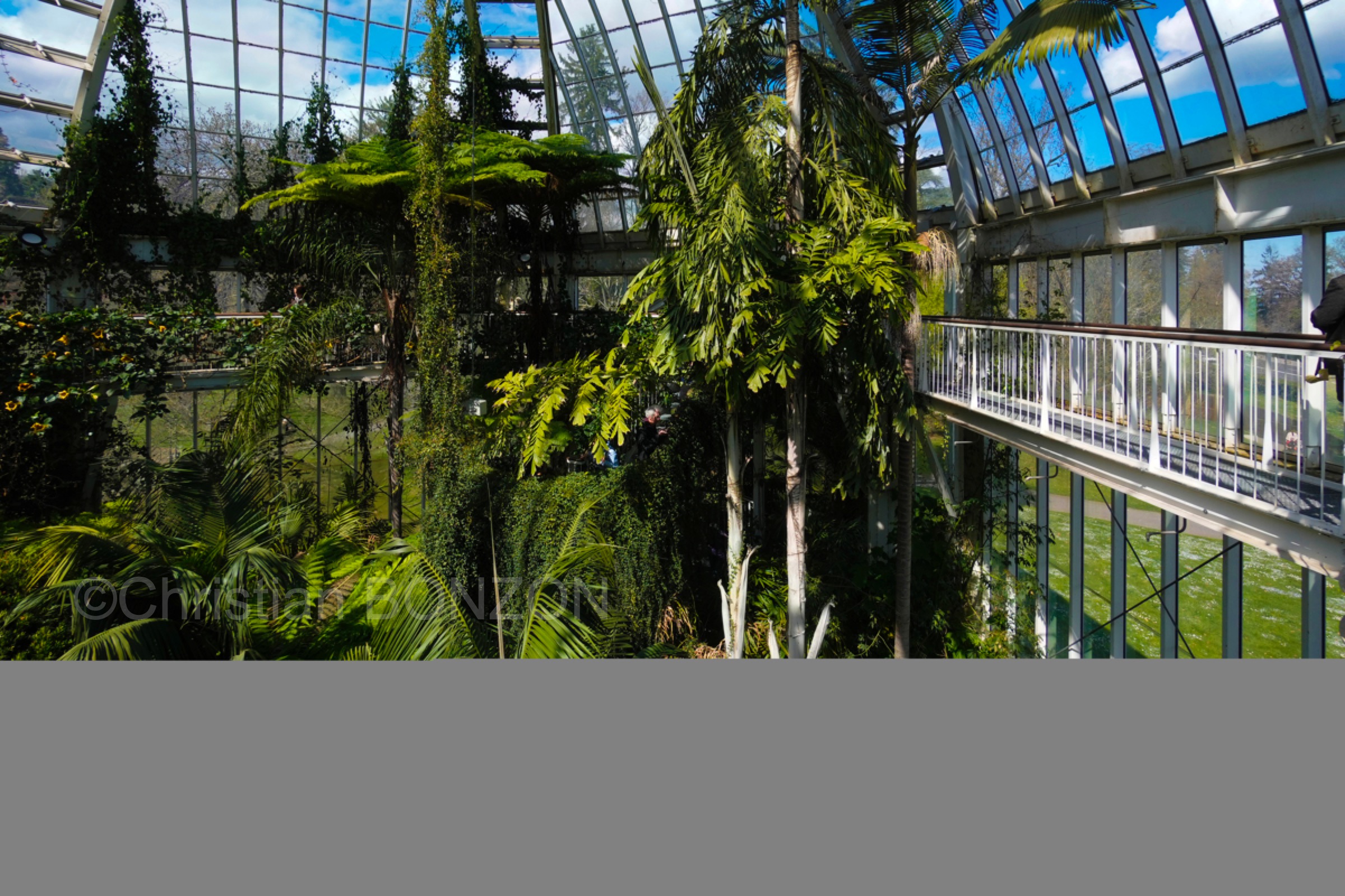 Jardin_botanique_fleurs009