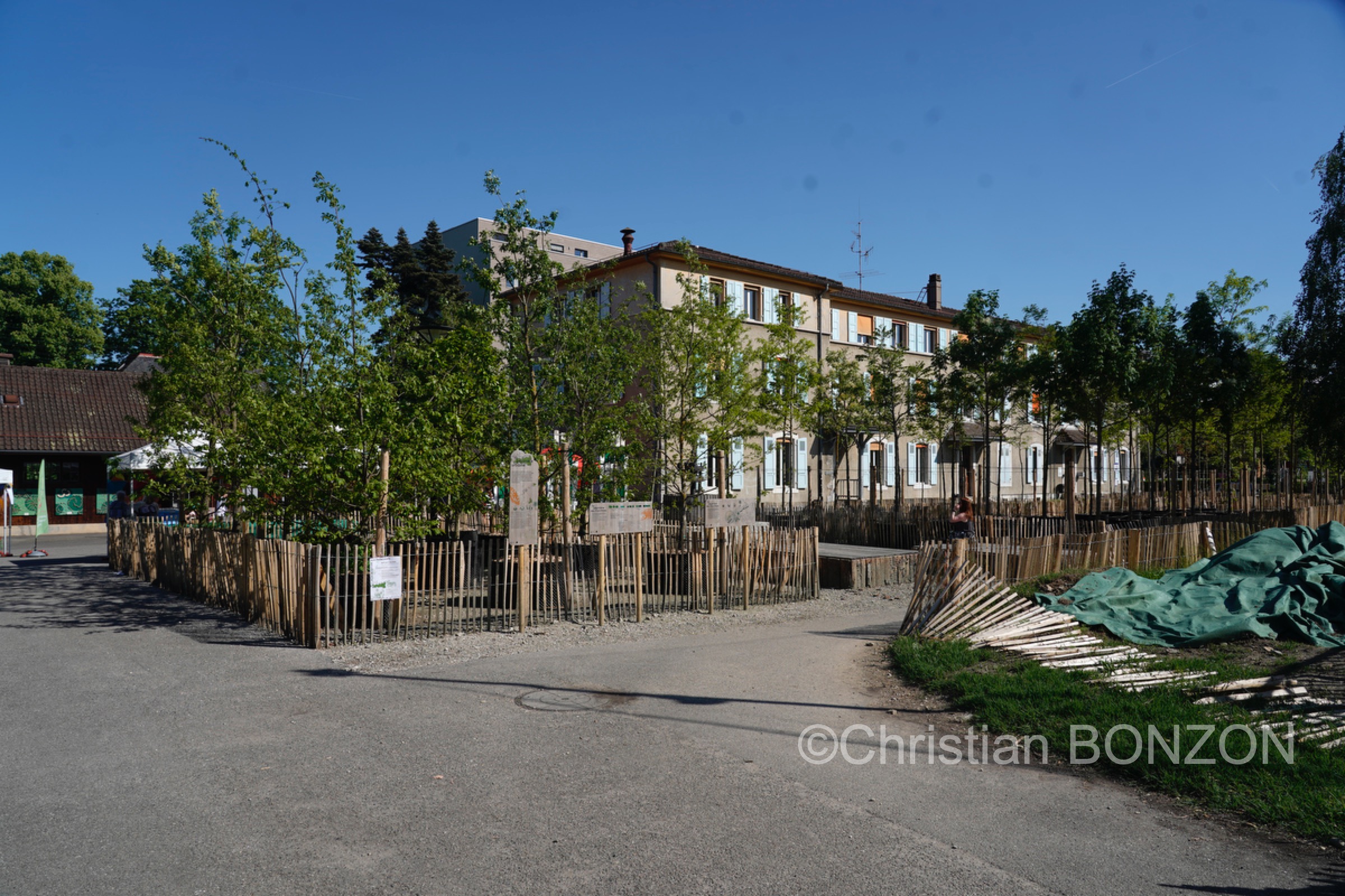 Franchises_Arbres004