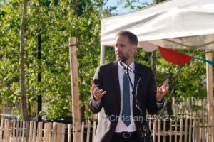 Franchises_Arbres021