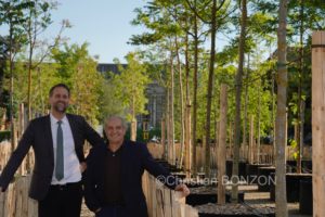 Franchises_Arbres024