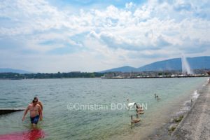 aleau_wilson_samedi014