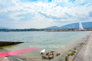 aleau_wilson_samedi016