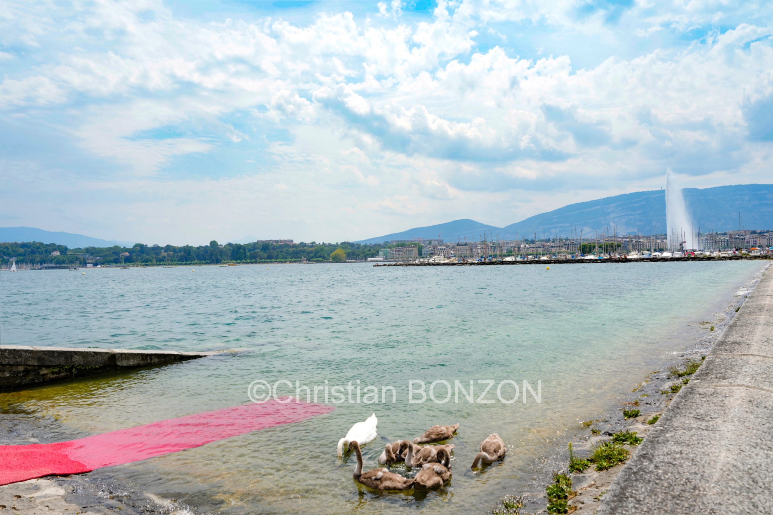 aleau_wilson_samedi016