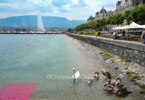 aleau_wilson_samedi018