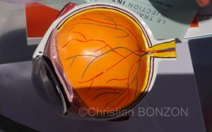 CENTRE_DE_CHIRURGIE_AMBULATOIRE 021