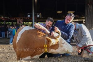 Suisse_Cherie_Bieri_Avully003