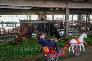 Suisse_Cherie_Bieri_Avully015