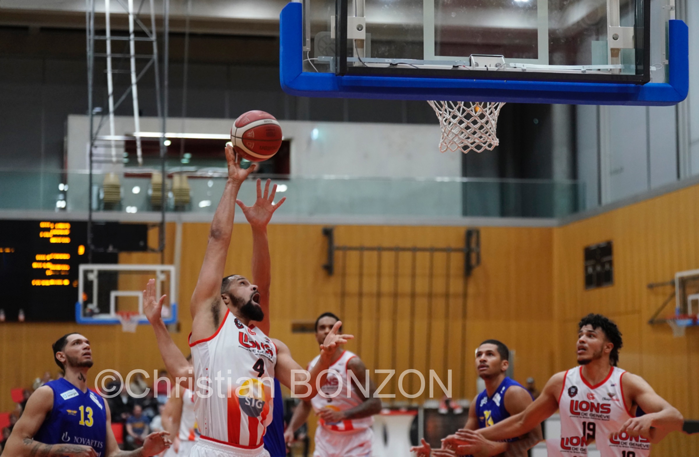 Basket_Lyony_Starwing028