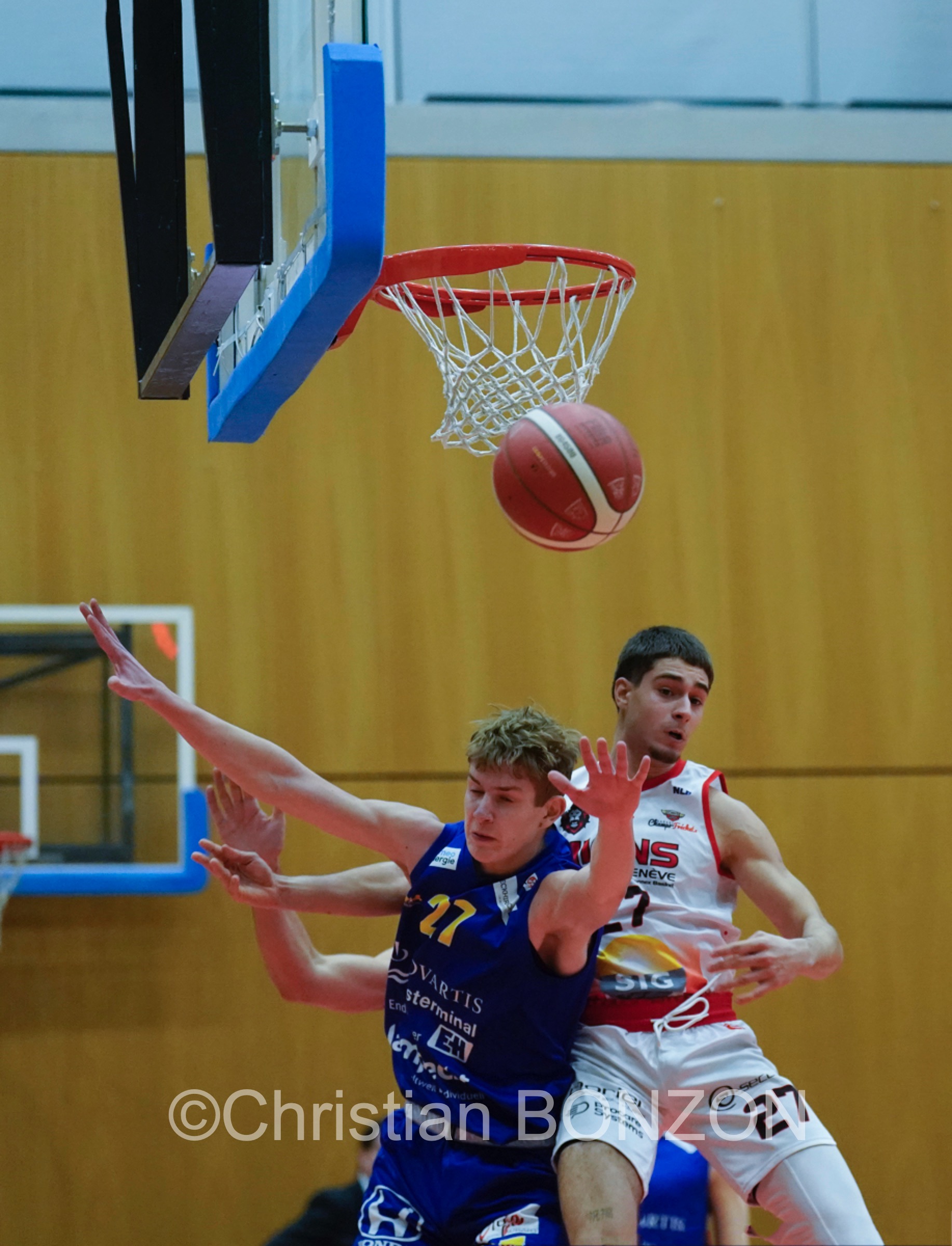 Basket_Lyony_Starwing055