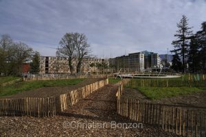 Domaine Rigot_Pepinire urbaine_Tram des Nations