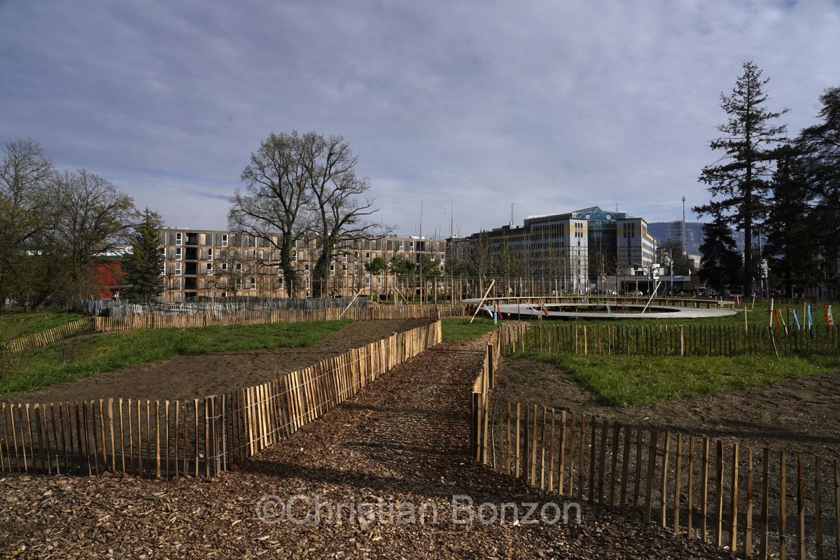 Domaine Rigot_Pepinire urbaine_Tram des Nations