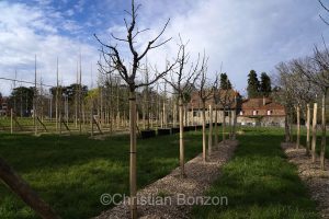 Domaine Rigot_Pepinire urbaine_Tram des Nations