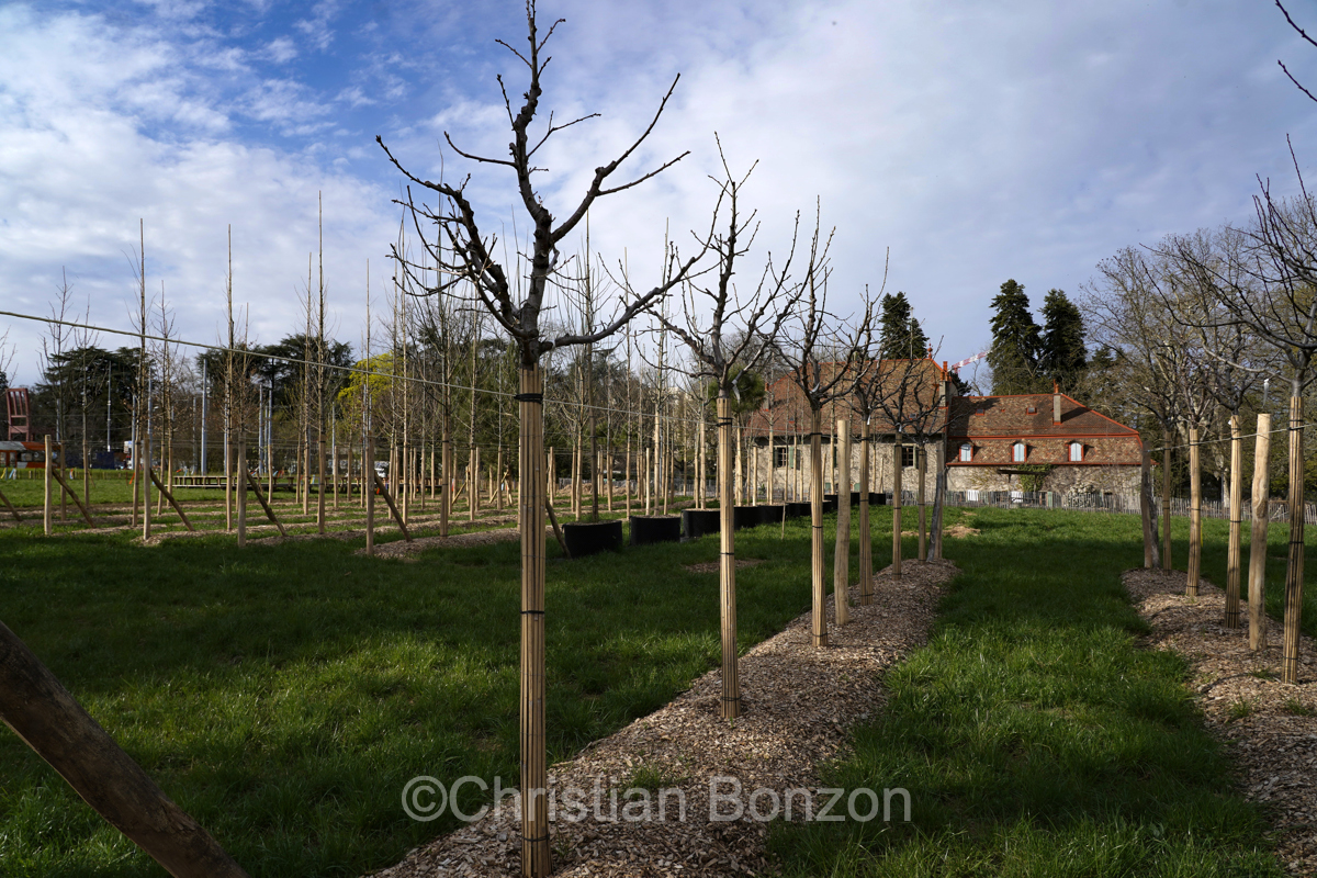 Domaine Rigot_Pepinire urbaine_Tram des Nations