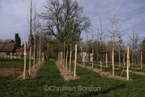 Domaine Rigot_Pepinire urbaine_Tram des Nations