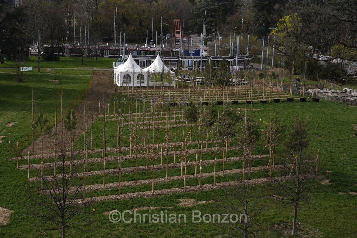 Domaine Rigot_Pepinire urbaine_Tram des Nations