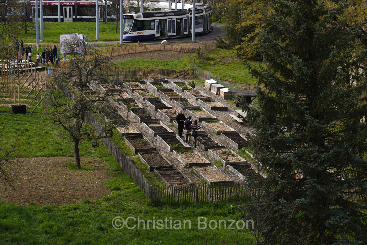 Domaine Rigot_Pepinire urbaine_Tram des Nations